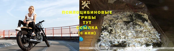 spice Лагань