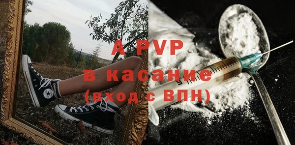 амф Ладушкин