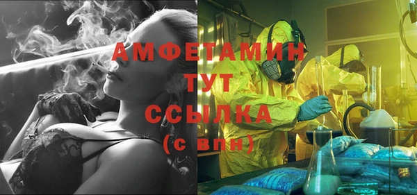 дживик Майский