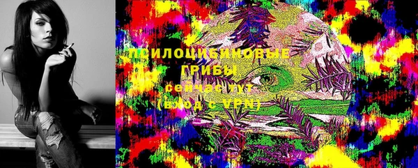 прущий лед Лиски